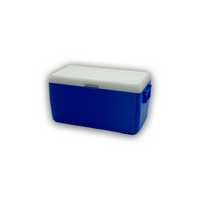 MINI COOLERS